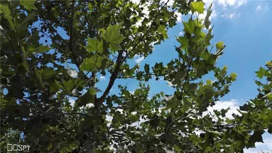 全面进化的新旗舰：华为旗舰7终极详评