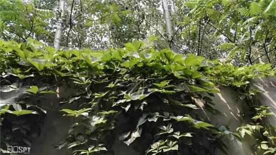 全面进化的新旗舰：华为旗舰7终极详评