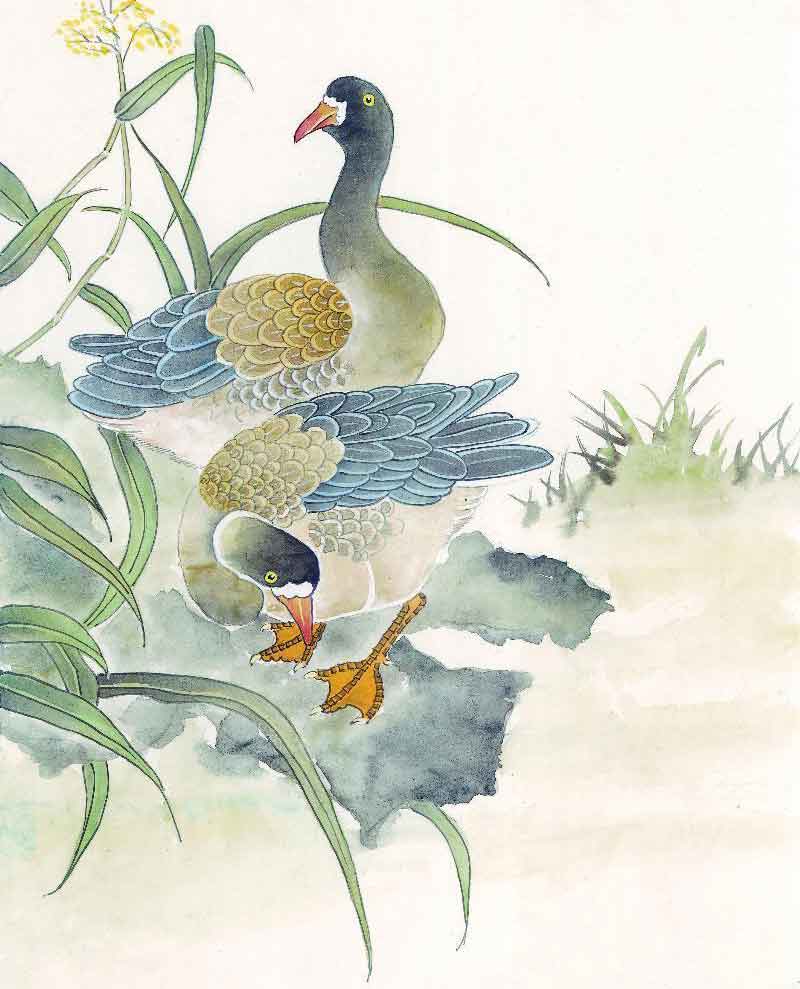 CDR临摹国画教程 脚本之家 CDR实例教程