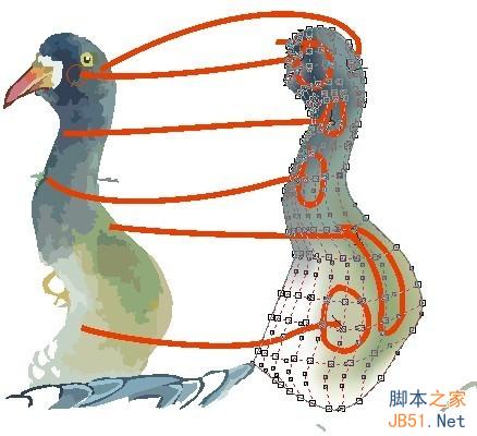 CDR临摹国画教程 脚本之家 CDR实例教程