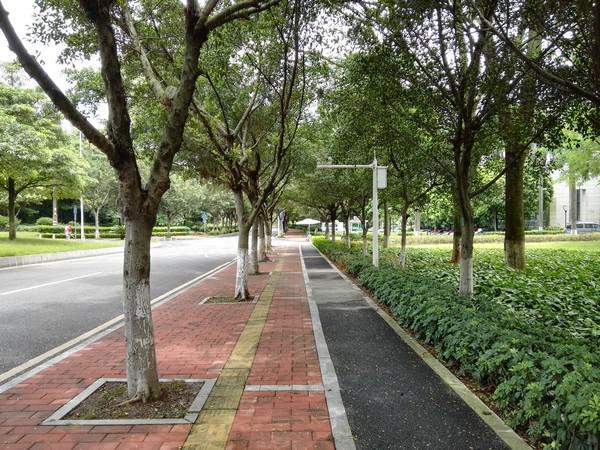 亲测华为P8拍摄能力 这颗IMX278传感器到底魅力何在