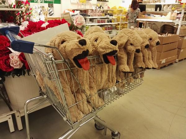 亲测华为P8拍摄能力 这颗IMX278传感器到底魅力何在