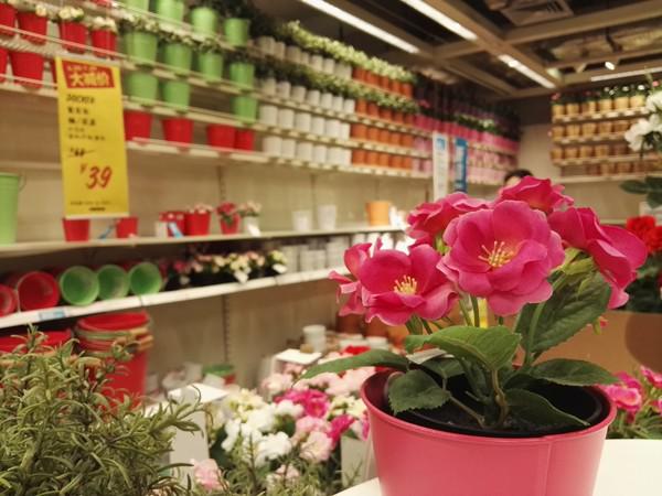 亲测华为P8拍摄能力 这颗IMX278传感器到底魅力何在