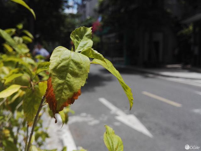 荣耀的蜕变，华为荣耀 7 体验