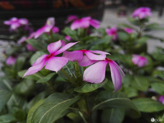 荣耀的蜕变，华为荣耀 7 体验