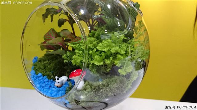 索尼大法好?三防新旗舰Z3+Dual评测