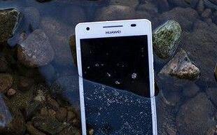 把手机扔鱼缸 有哪些手机还能存活 亲眼见证