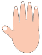 CorelDRAW9绘制卡通小人实例教程 脚本之家 CorelDRAW实例教程