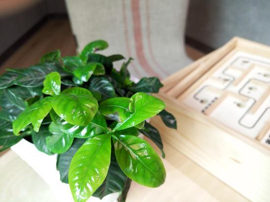 魅族MX5大战荣耀7！体验两周选了它