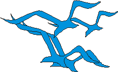 实例学用CorelDRAW9-----海鸥 脚本之家 CorelDraw实例教程