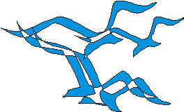 实例学用CorelDRAW9-----海鸥 脚本之家 CorelDraw实例教程