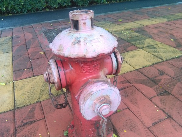 荣耀4A怎么样 荣耀4A详细评测