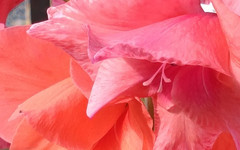 中兴AXON拍照体验：细节和弱光表现好 