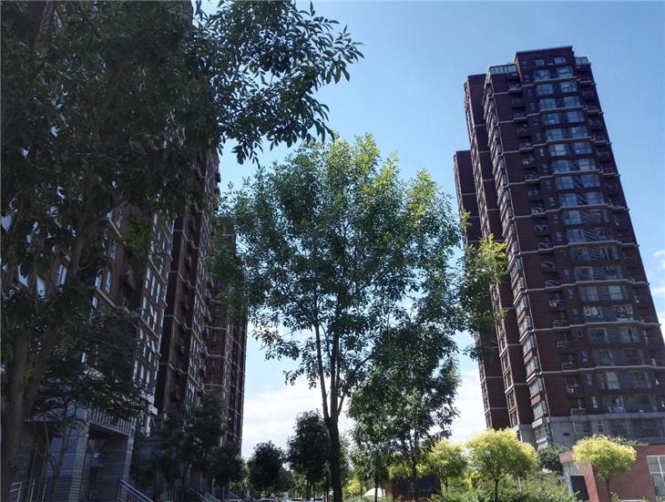 国产旗舰对决 荣耀7和一加2对比对比评测