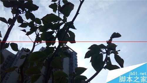 黄金斗士A8畅玩拍照 (2)