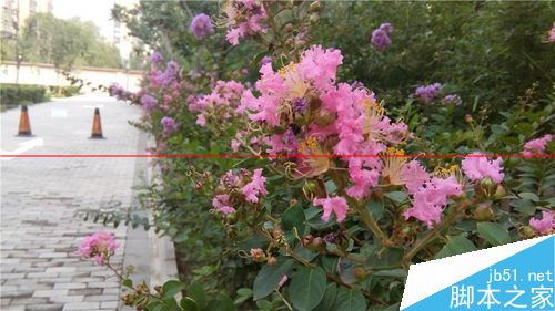 黄金斗士A8畅玩拍照 (7)