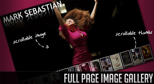 全页图像廊