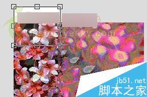 CorelDRAW X3新功能体验：裁切工具 脚本之家 CorelDraw入门教程