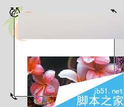 CorelDRAW X3新功能体验：裁切工具 脚本之家 CorelDraw入门教程