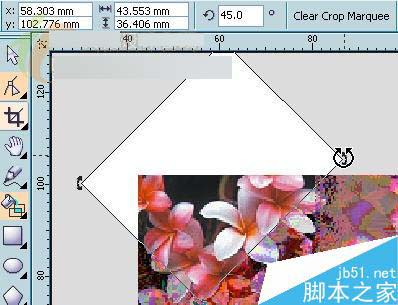 CorelDRAW X3新功能体验：裁切工具 脚本之家 CorelDraw入门教程