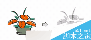 CorelDRAW 12循序渐进-透镜效果 脚本之家 CorelDraw入门教程