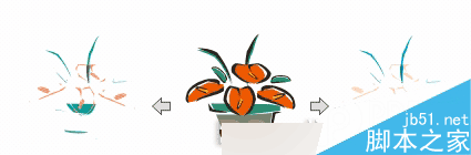 CorelDRAW 12循序渐进-透镜效果 脚本之家 CorelDraw入门教程