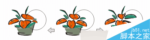 CorelDRAW 12循序渐进-透镜效果 脚本之家 CorelDraw入门教程