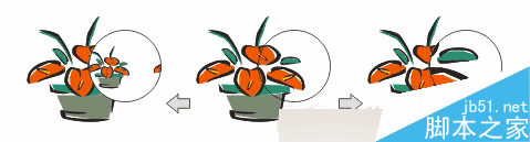 CorelDRAW 12循序渐进-透镜效果 脚本之家 CorelDraw入门教程