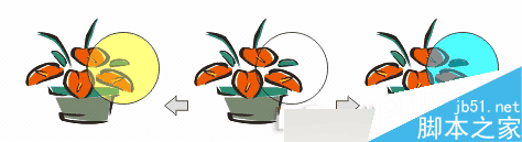 CorelDRAW 12循序渐进-透镜效果 脚本之家 CorelDraw入门教程