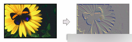 CorelDRAW 12循序渐进-应用滤镜 脚本之家 CorelDraw入门教程