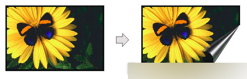 CorelDRAW 12循序渐进-应用滤镜 脚本之家 CorelDraw入门教程