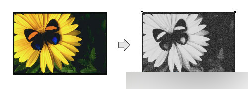 CorelDRAW 12循序渐进-应用滤镜 脚本之家 CorelDraw入门教程