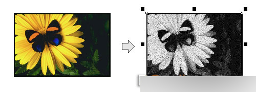 CorelDRAW 12循序渐进-应用滤镜 脚本之家 CorelDraw入门教程