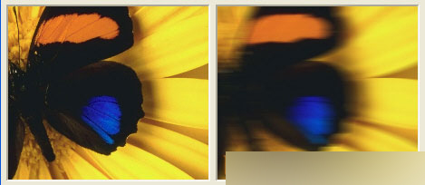 CorelDRAW 12循序渐进-应用滤镜 脚本之家 CorelDraw入门教程