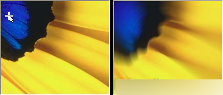 CorelDRAW 12循序渐进-应用滤镜 脚本之家 CorelDraw入门教程