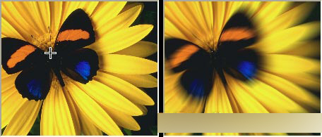 CorelDRAW 12循序渐进-应用滤镜 脚本之家 CorelDraw入门教程