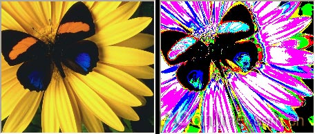 CorelDRAW 12循序渐进-应用滤镜 脚本之家 CorelDraw入门教程