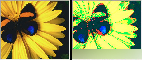 CorelDRAW 12循序渐进-应用滤镜 脚本之家 CorelDraw入门教程