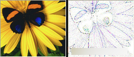 CorelDRAW 12循序渐进-应用滤镜 脚本之家 CorelDraw入门教程