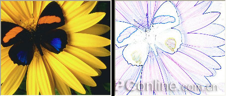 CorelDRAW 12循序渐进-应用滤镜 脚本之家 CorelDraw入门教程