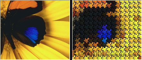 CorelDRAW 12循序渐进-应用滤镜 脚本之家 CorelDraw入门教程