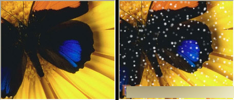 CorelDRAW 12循序渐进-应用滤镜 脚本之家 CorelDraw入门教程