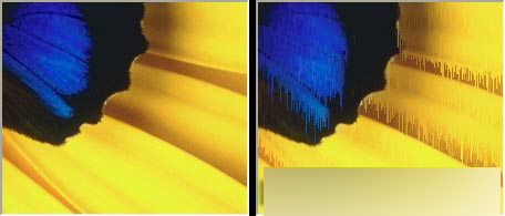 CorelDRAW 12循序渐进-应用滤镜 脚本之家 CorelDraw入门教程