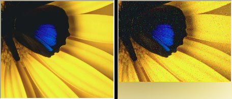 CorelDRAW 12循序渐进-应用滤镜 脚本之家 CorelDraw入门教程