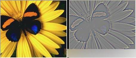 CorelDRAW 12循序渐进-应用滤镜 脚本之家 CorelDraw入门教程