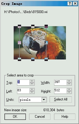 CorelDRAW 导入时Crop（修剪）位图 脚本之家 CorelDraw入门教程
