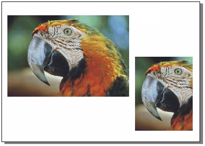 CorelDRAW 导入时Crop（修剪）位图 脚本之家 CorelDraw入门教程