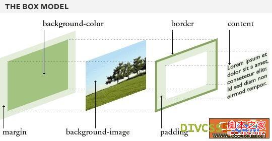 CSS元素中margin的解剖图