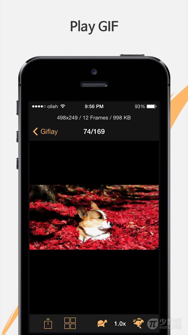 在 iOS 上看 GIF 动图的相册：Giflay