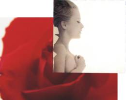 融会CorelDRAW9之透明合成 脚本之家 CorelDraw入门教程